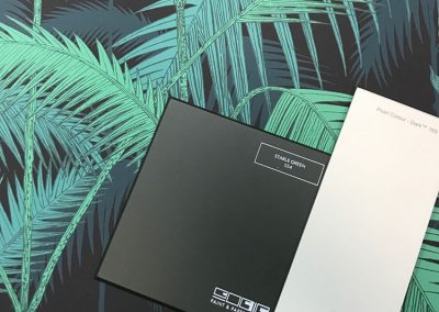 22860889_135602630425930_374557410620080128_n